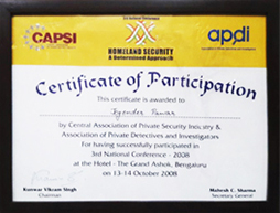 Hawkeye Detective Agency Painting 