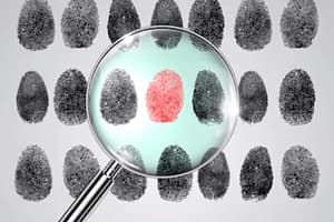 Hawkeye Detective Specialsed Services